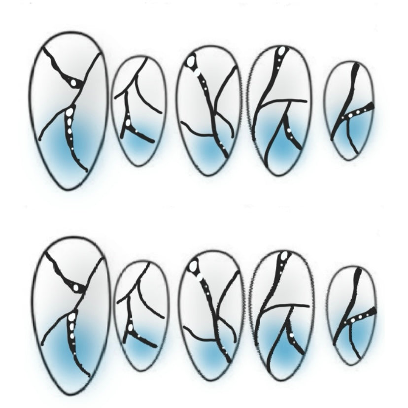 Press-on nails « WINTER BUTTERFLY »