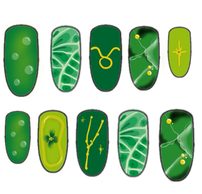 Press-on nails Taureau