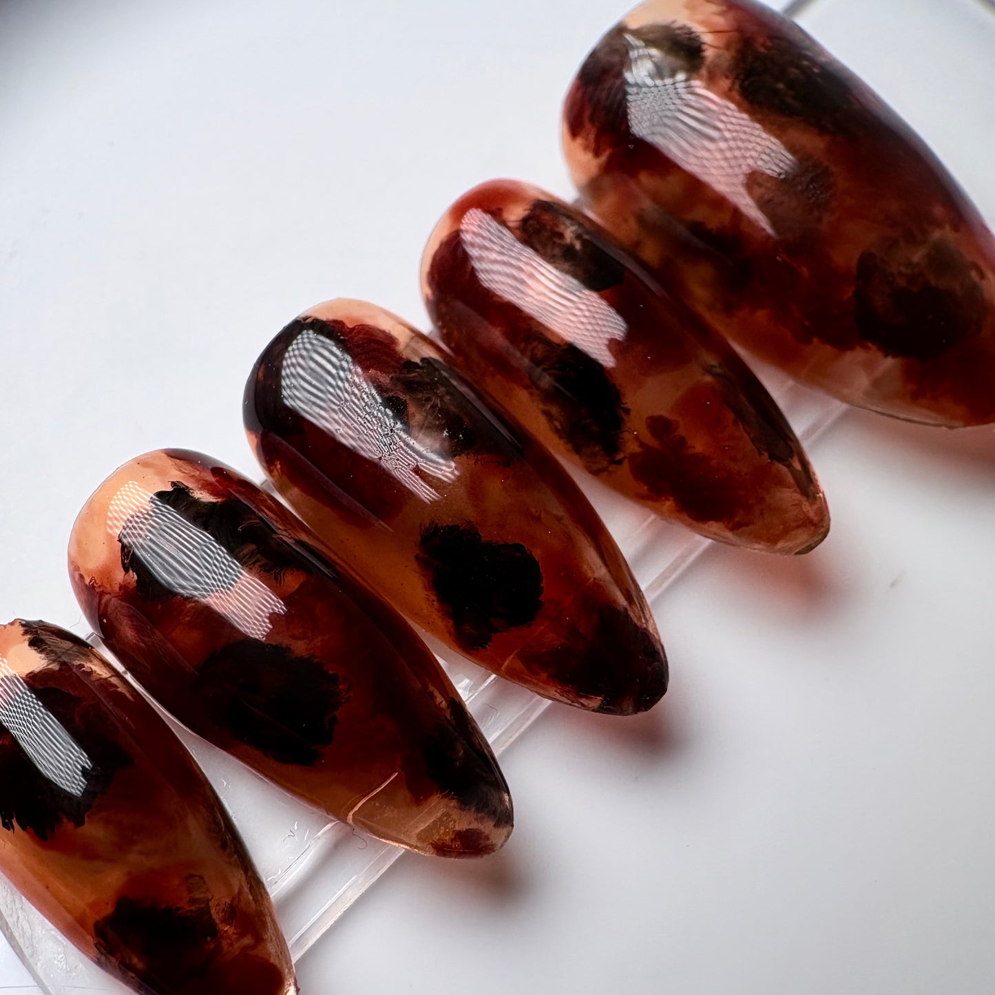 Press-on nails « TORTOISE SHELL »
