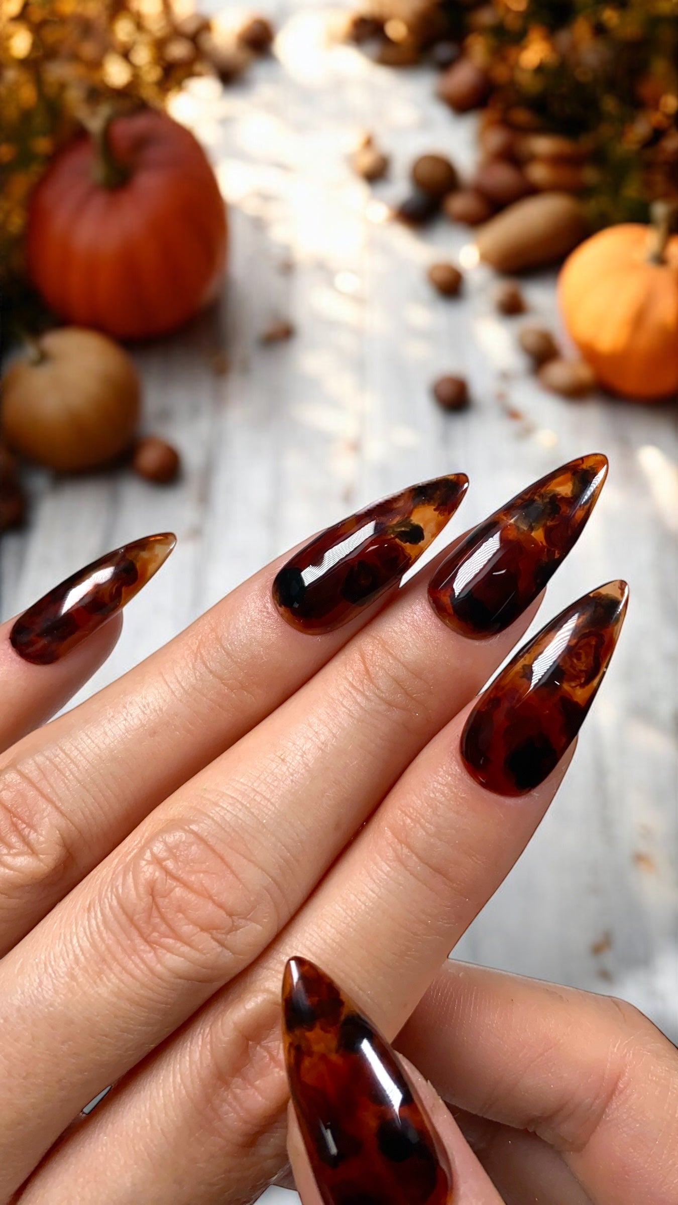 Press-on nails « TORTOISE SHELL »