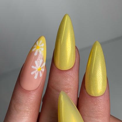 Press-on nails « GOLDEN DAISY » (couleur au choix)